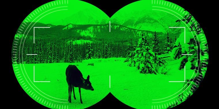 looking at wildlife through night vision goggles
